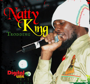 Trodding - Natty King